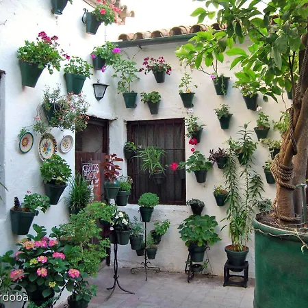 Appartamento Casa Turistica San Agustin