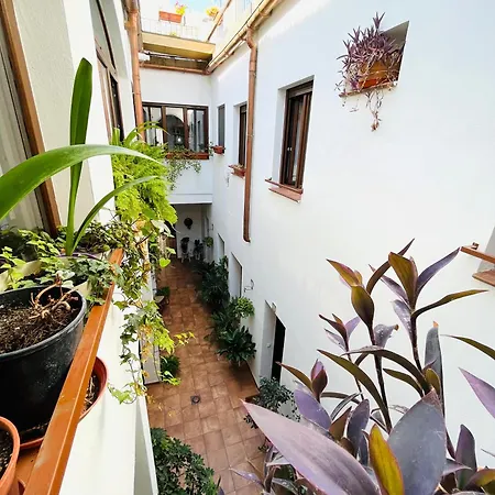 Casa Turistica San Agustin Appartamento *